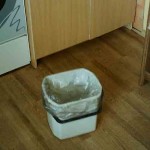 Кому кот в мешке, а нам – мышь в ведре